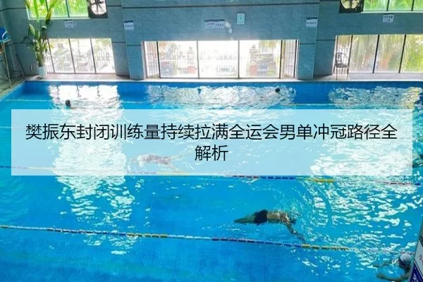 樊振东封闭训练量持续拉满全运会男单冲冠路径全解析